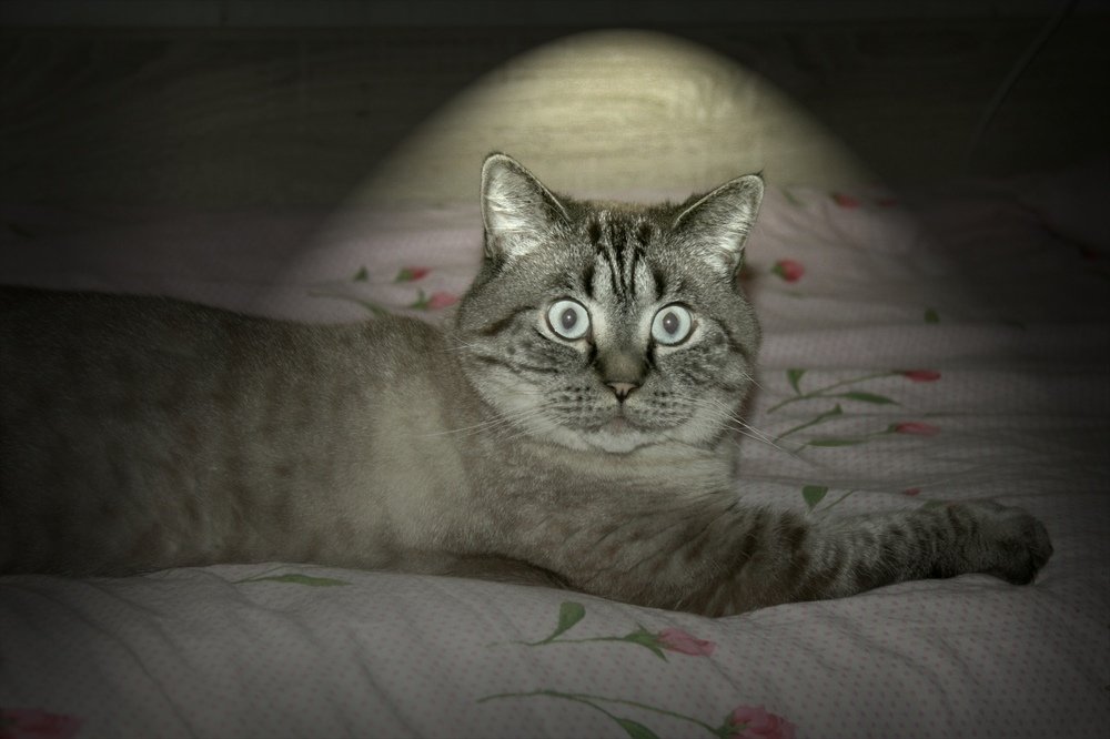 Photograph by Александр Кравченко