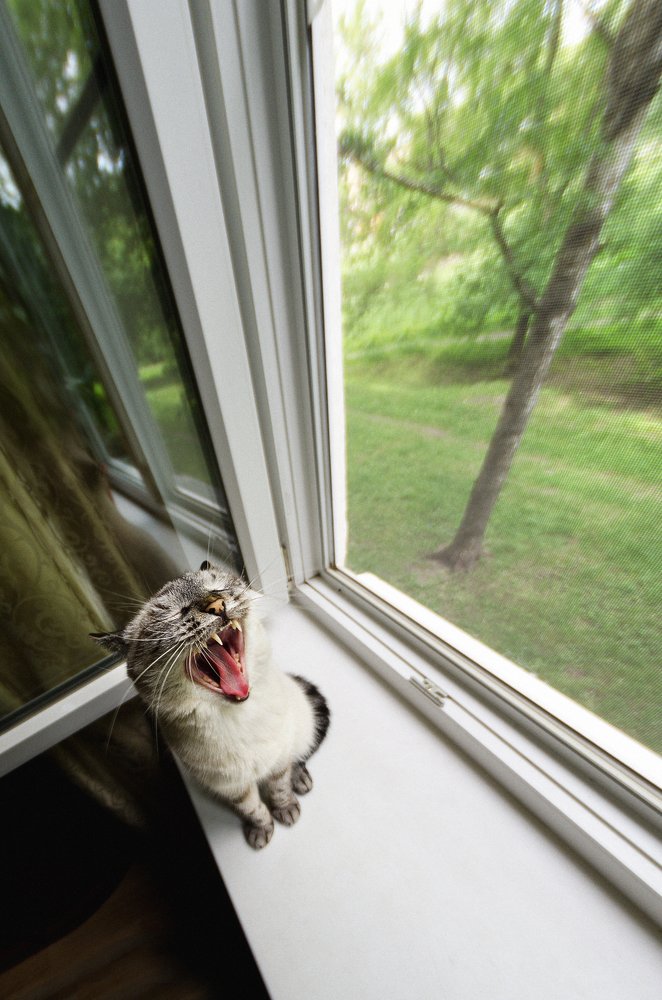 Photograph by arksaf