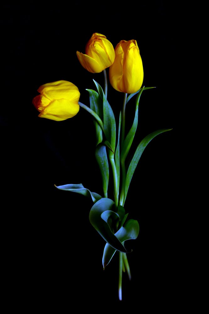 Photograph by Вячеслав Гусаков