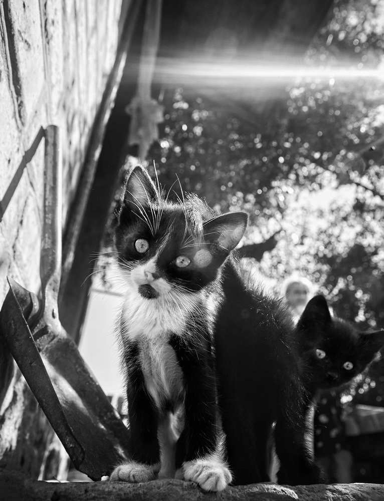 Фотография автора Александр Майоров