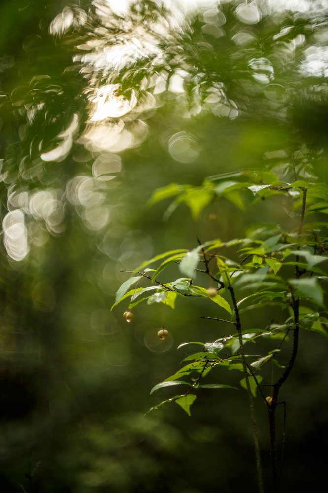 Photograph by Виктория