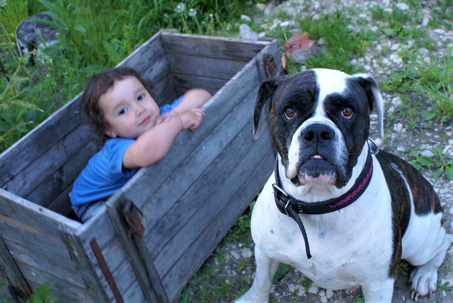 Photo #3594196