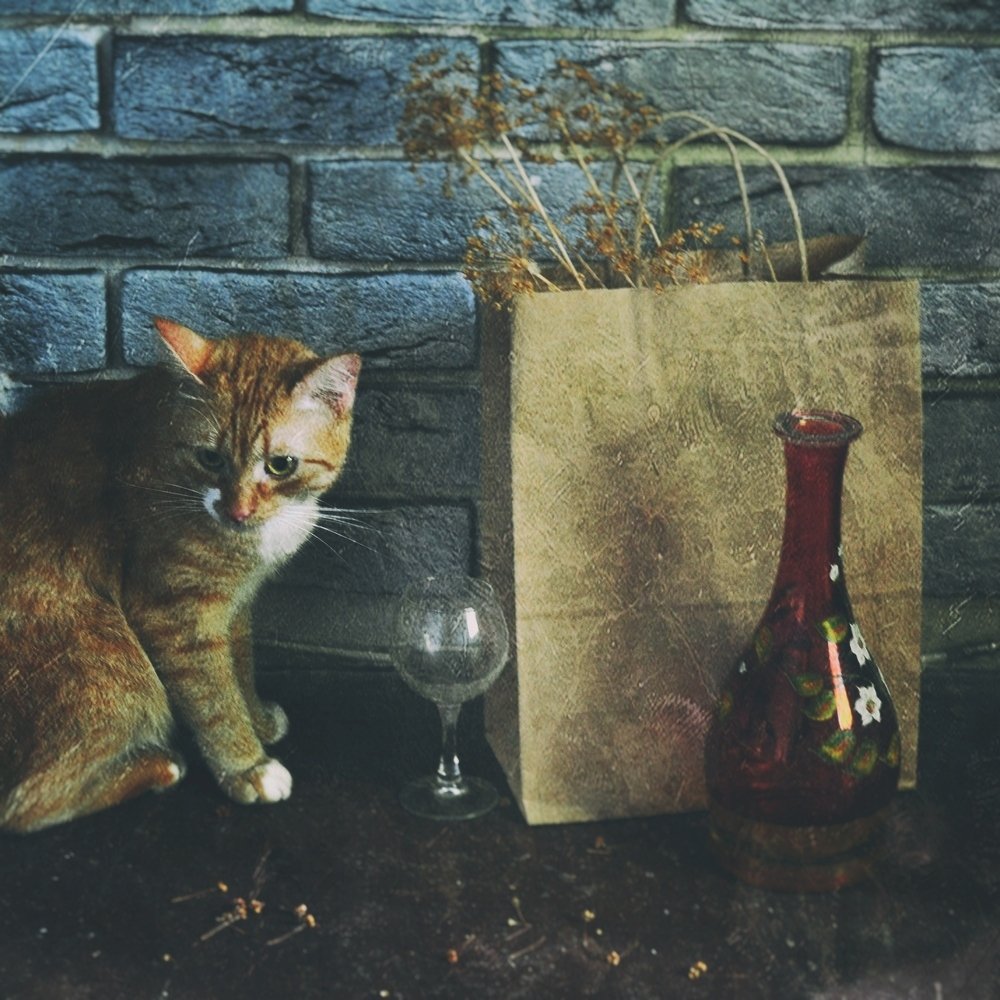 В домашней обстановке