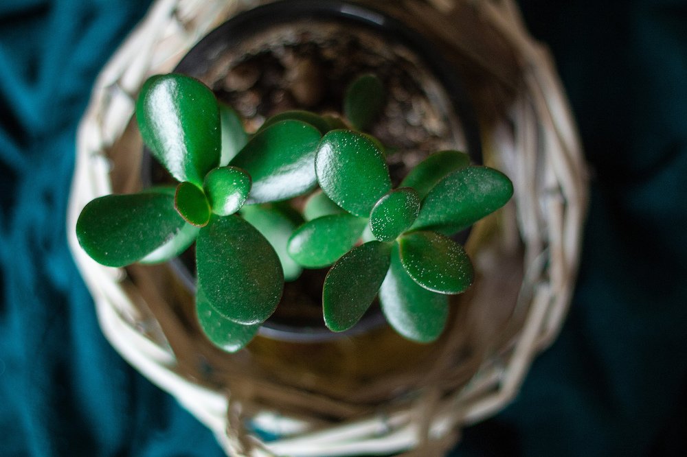 Photograph by Валерия Шарифова