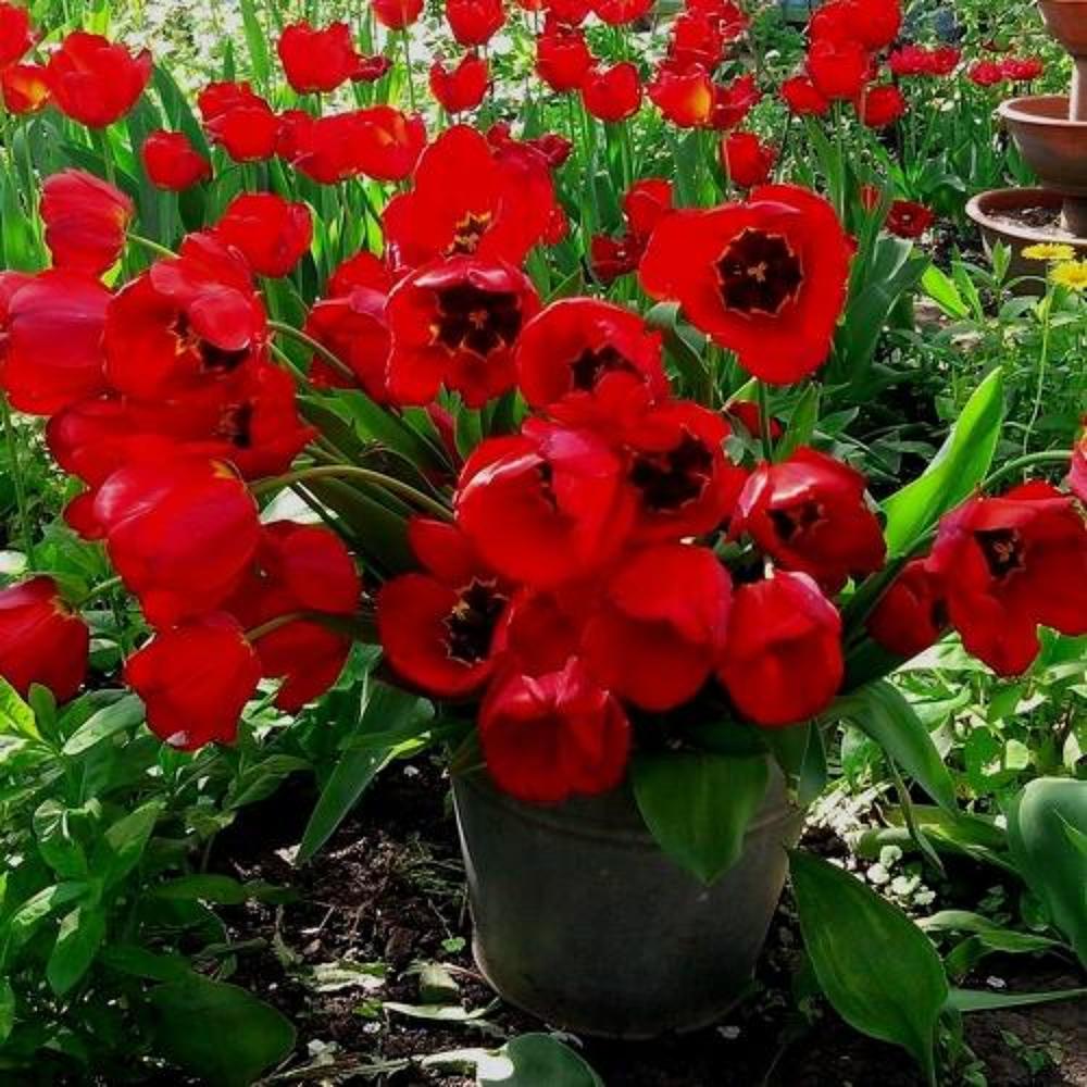 Photograph by Ирина Марченко