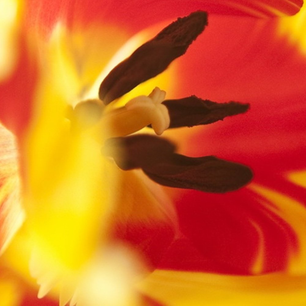 Photograph by Игорь Шашко