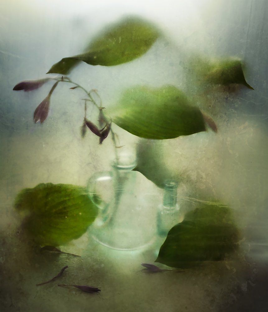 Photograph by Виктория