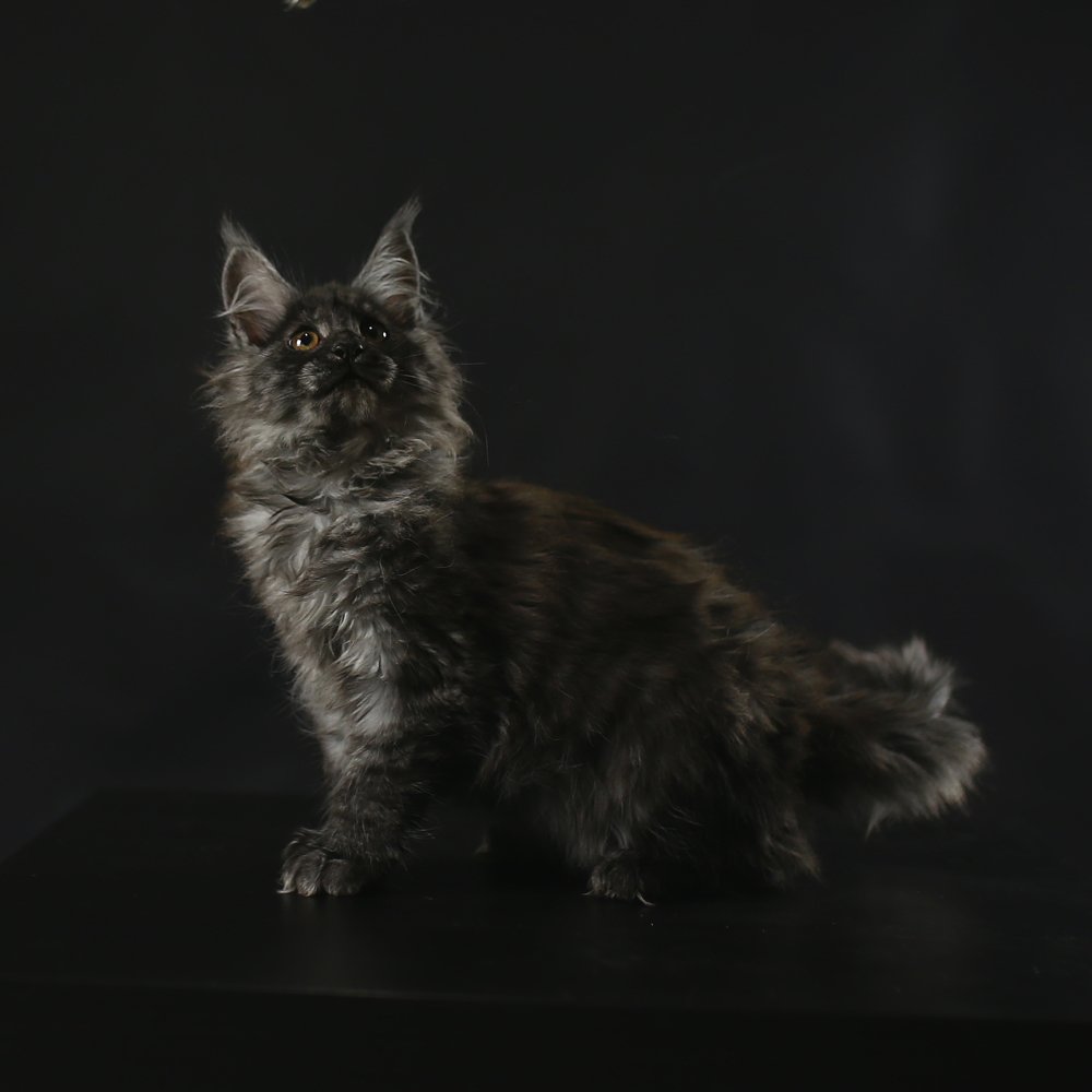 Photograph by Ирина Голубятникова