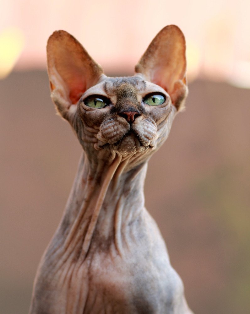 Photograph by Елизавета Болотникова