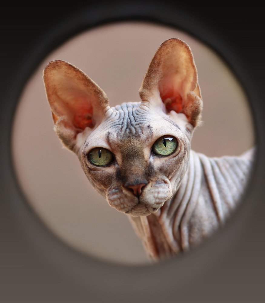 Photograph by Елизавета Болотникова