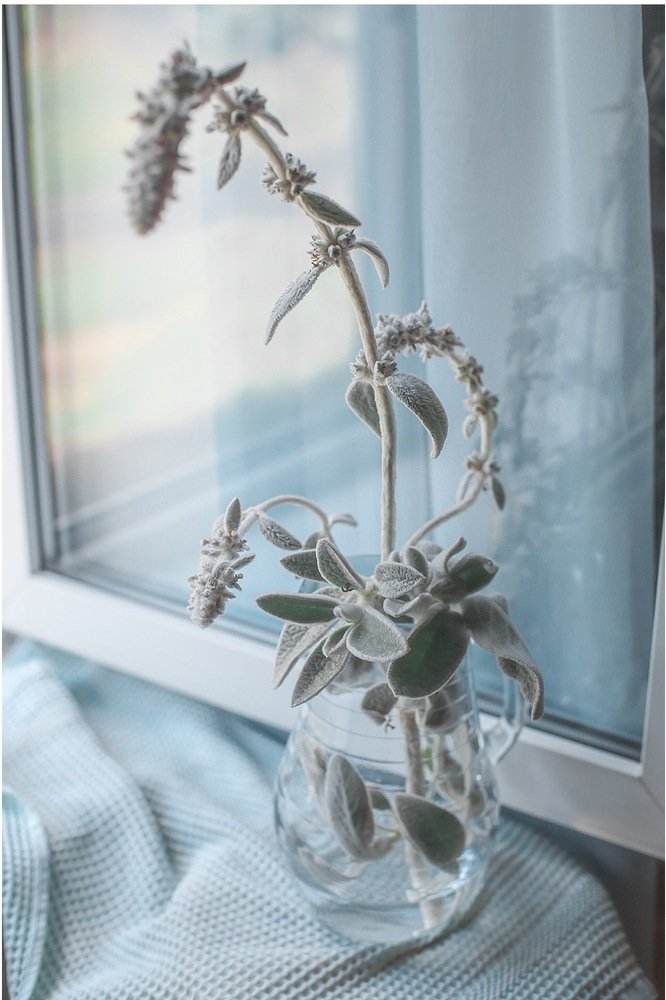 Photograph by Татьяна Короткова