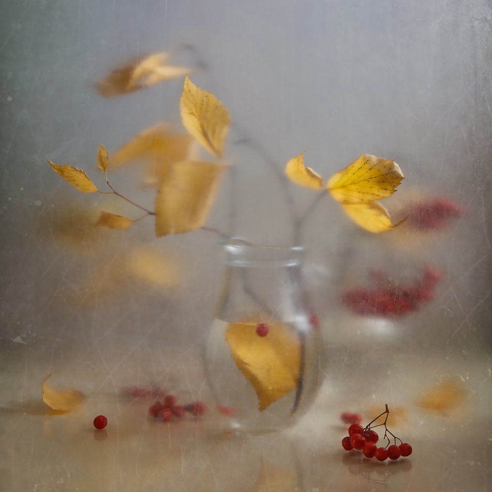 Photograph by Виктория