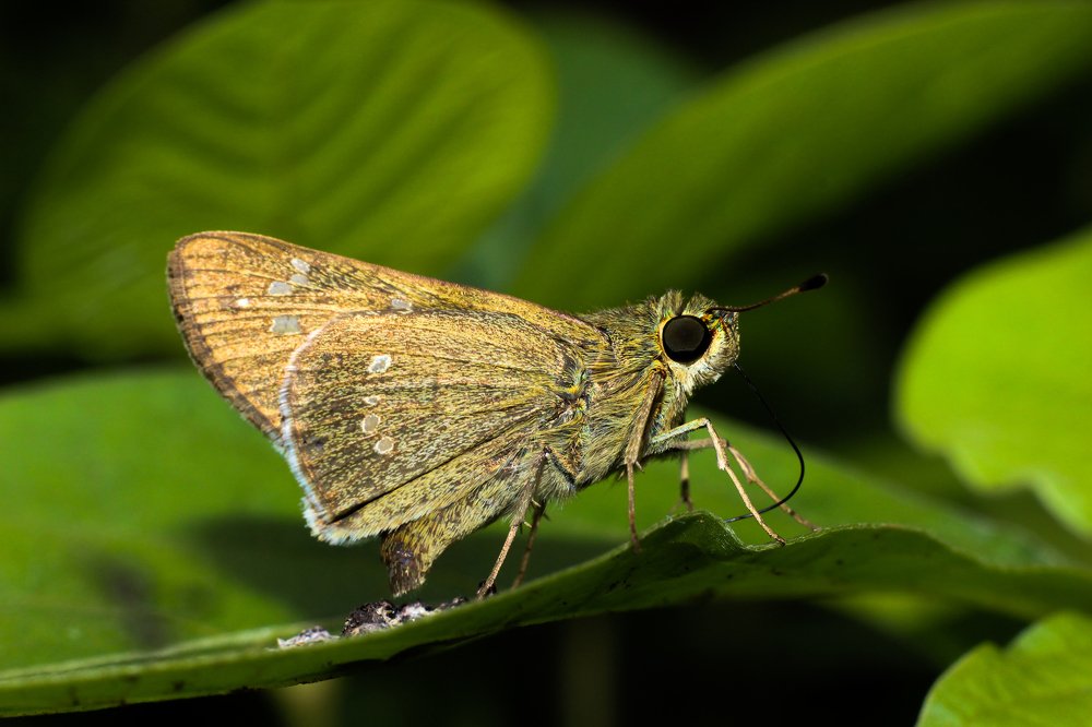 Photograph by Amarnath