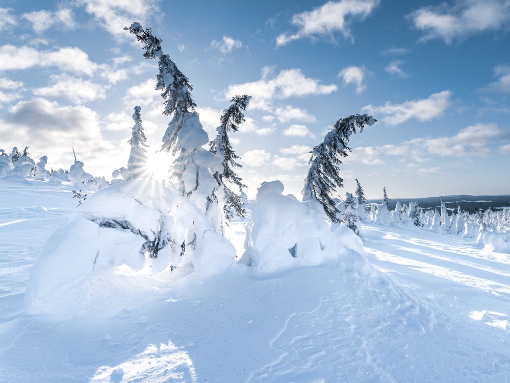 Photograph by Андрей Баскевич