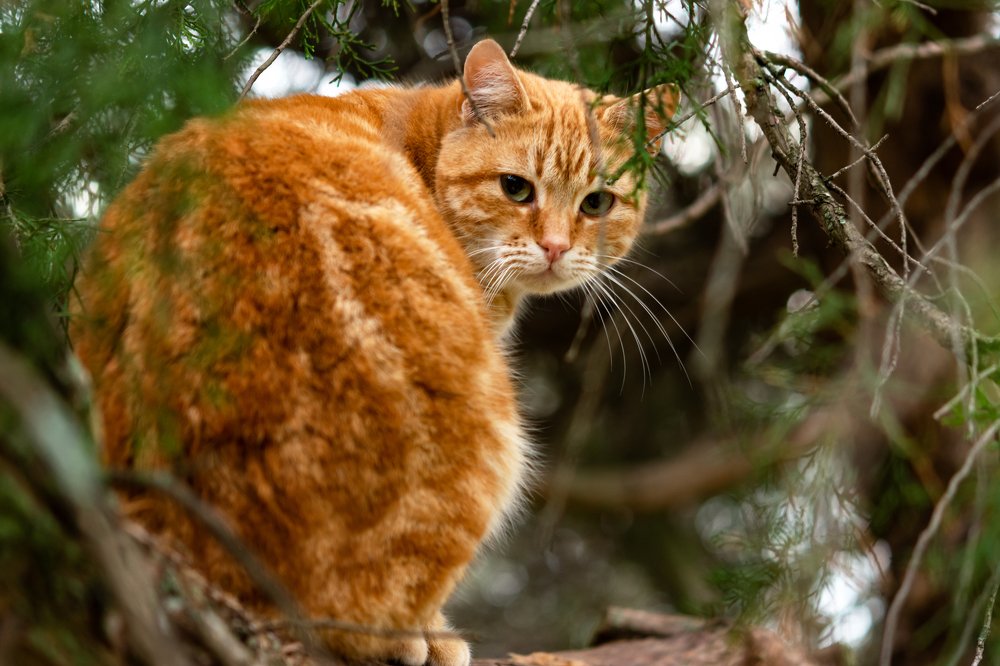 Серьезный парень
