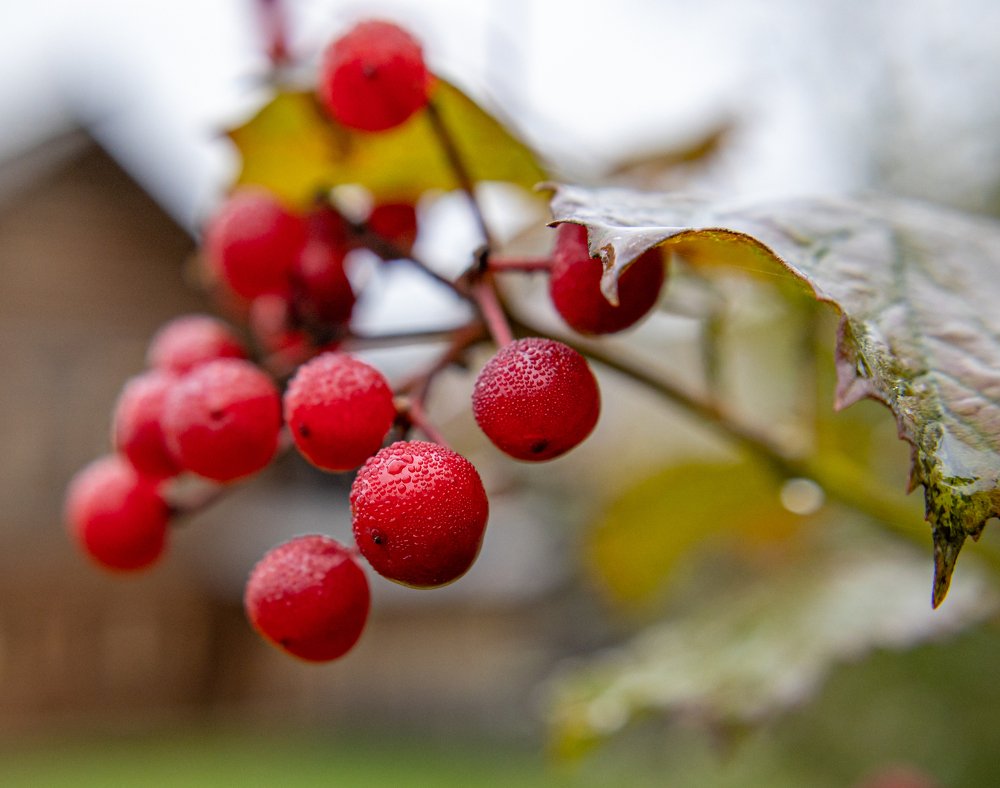 Photograph by Юрий Чернов
