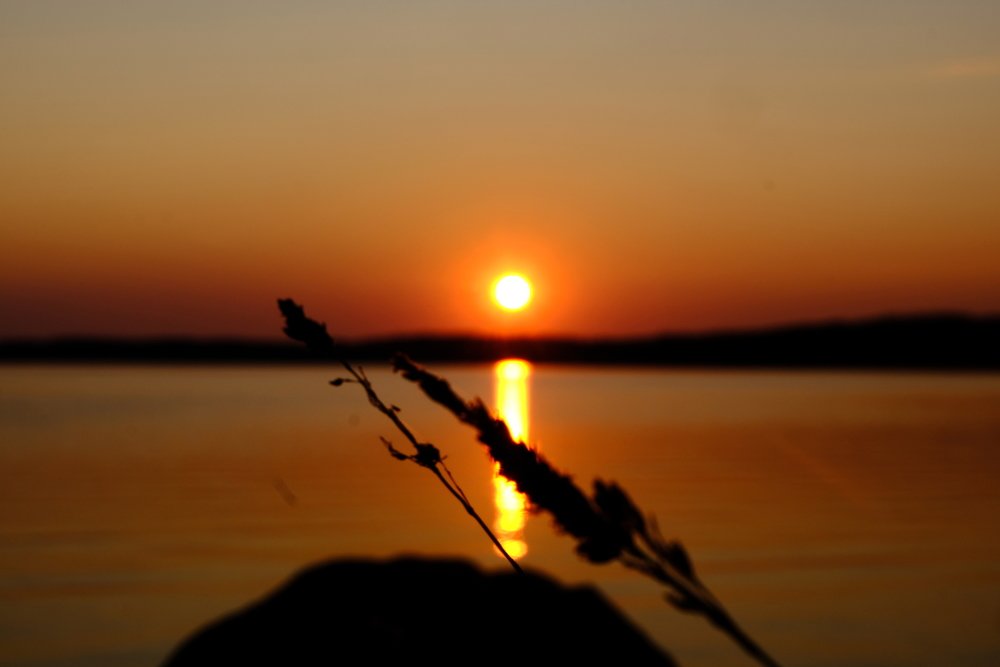 Photograph by Анастасия Котюк