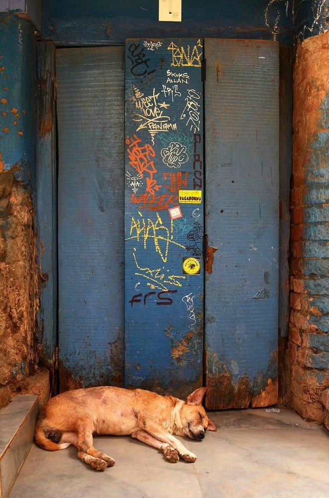 Photograph by Vartika singh