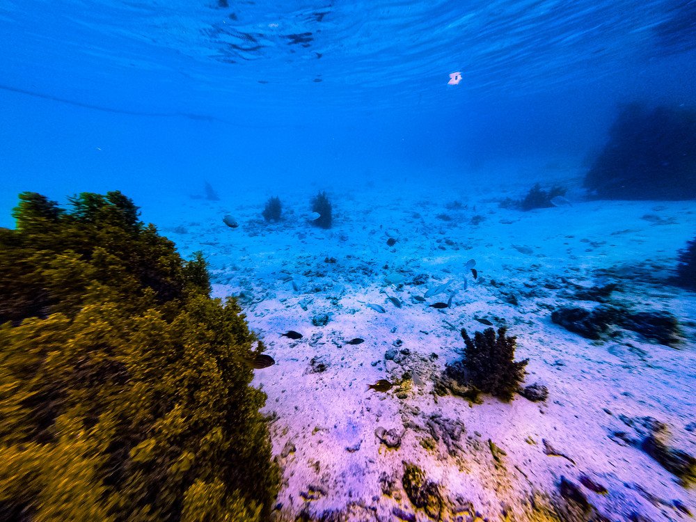 Photograph by Gawtam Julha