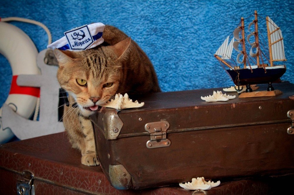 Photograph by Алла Гордеева