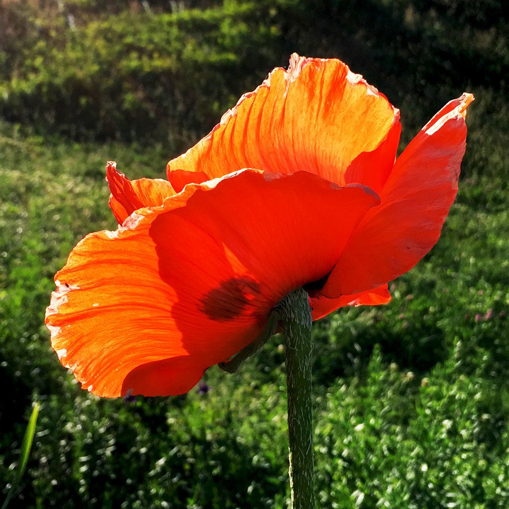 Photograph by Сергей Рубан