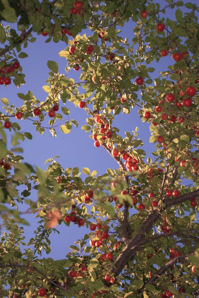 Photograph by Mariq Georgieva 