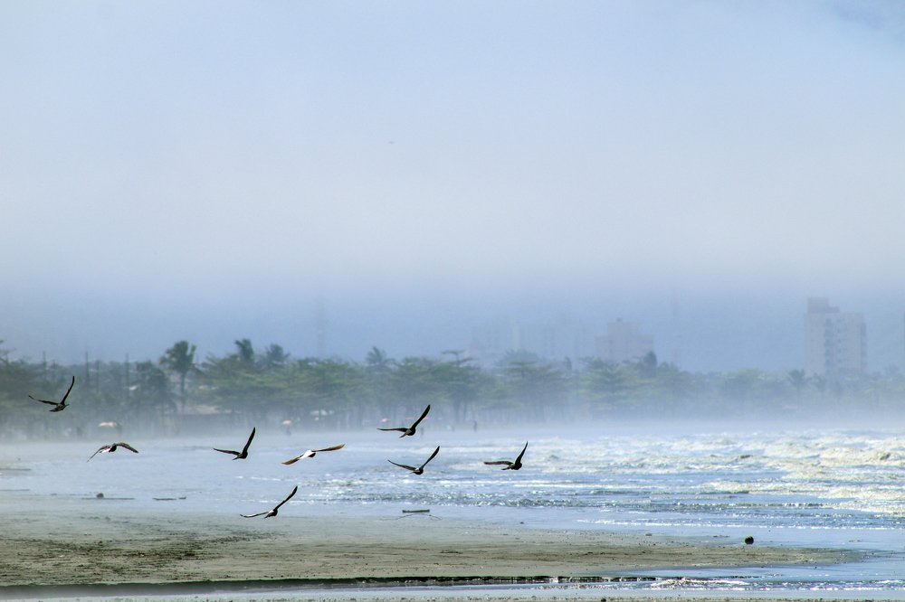 Photograph by Luiz Gustavo Campino Grunewald