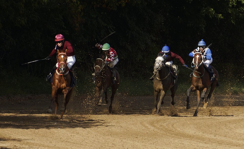 Photograph by Julia Nazarova