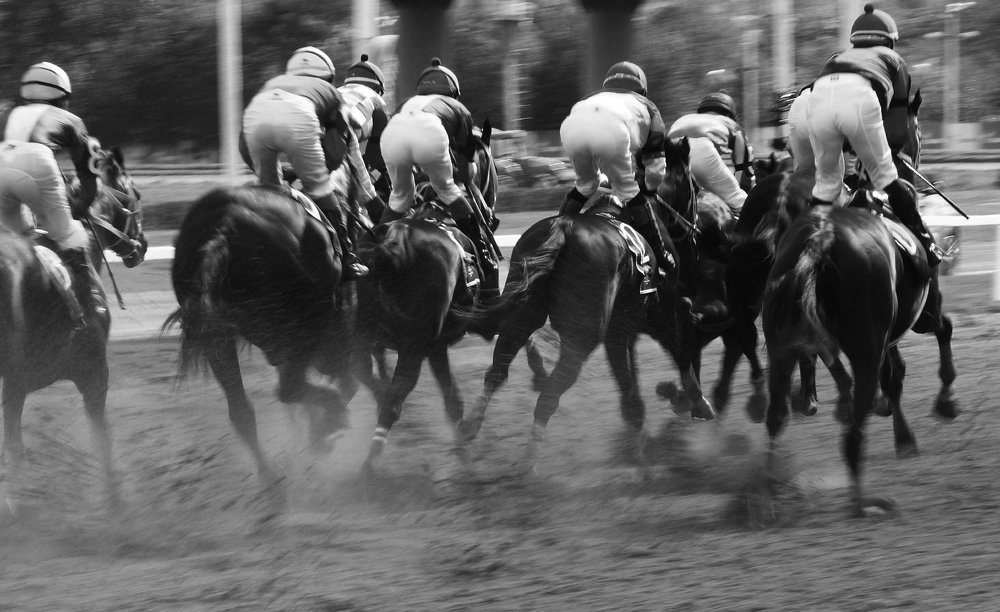 Photograph by Julia Nazarova