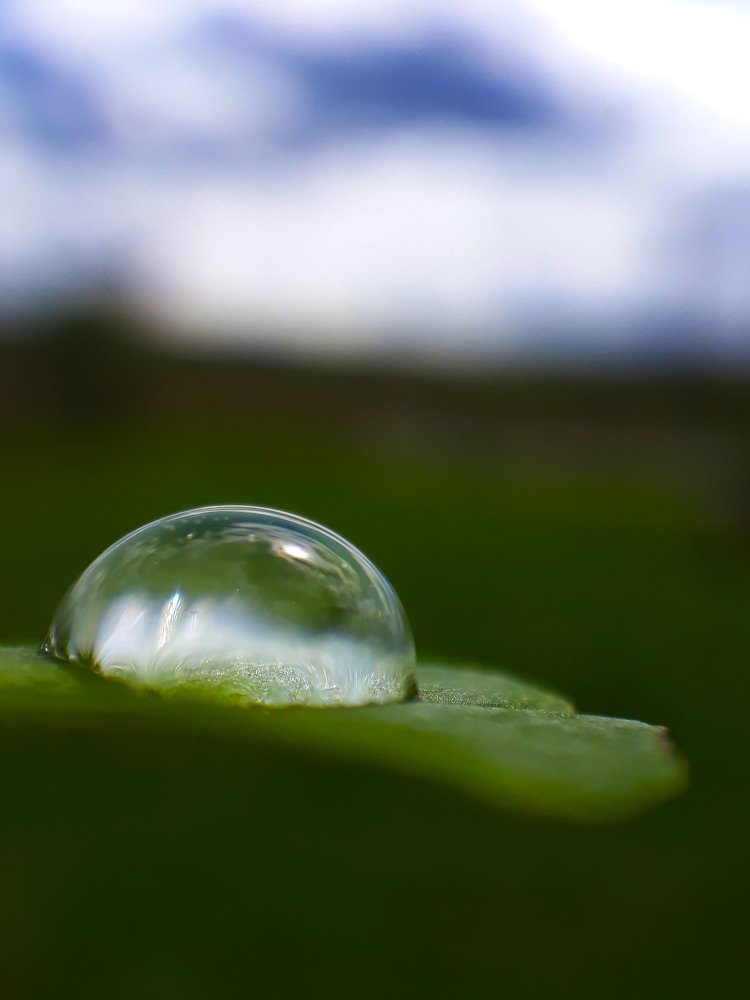 Photograph by Елена Рянцева