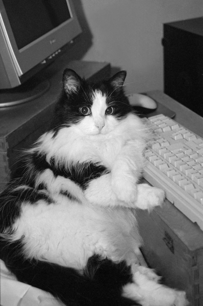 Photograph by Смирнов Алексей