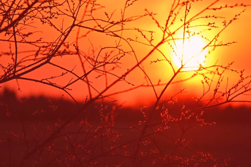 Photograph by Евгения Белоцветова