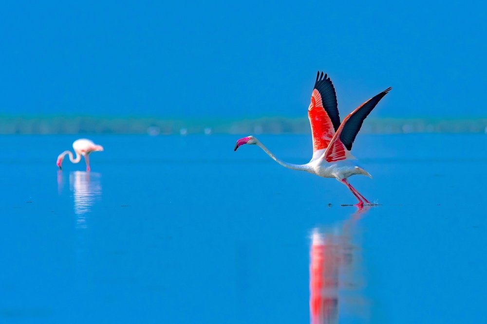 Photograph by narendra kumar pandey