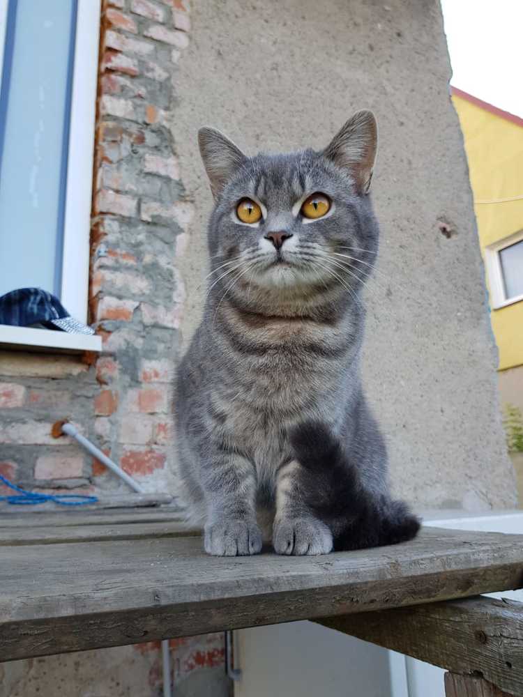 Photograph by Людмила Комарова