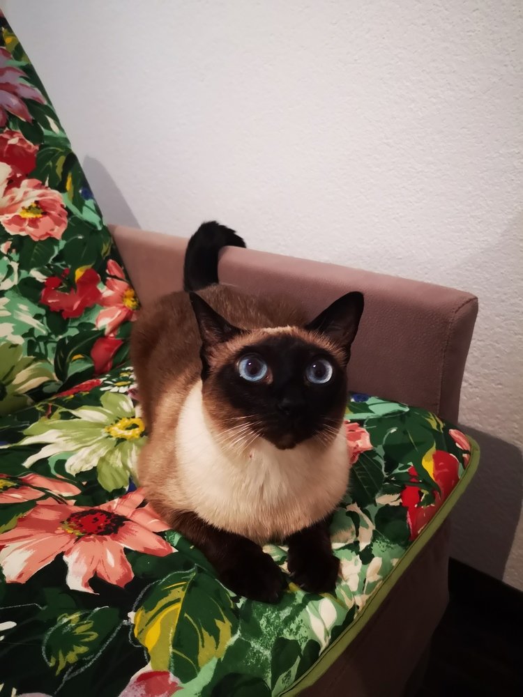 Photograph by Людмила Комарова