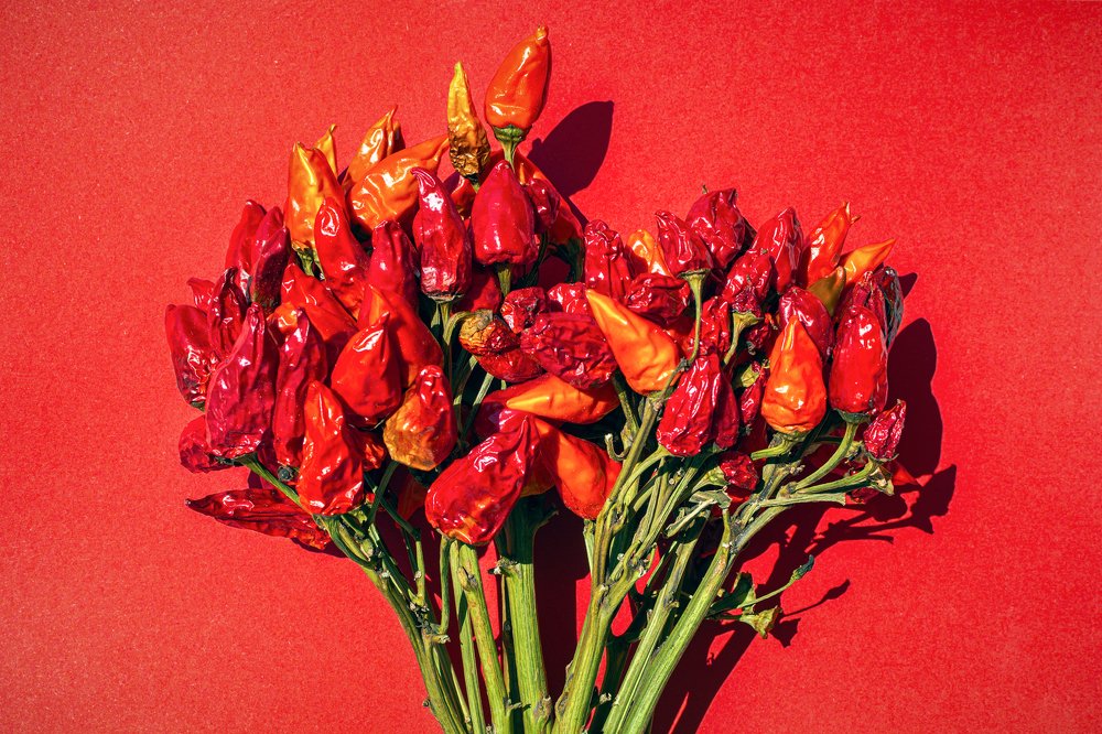 Photograph by Luigi Greco