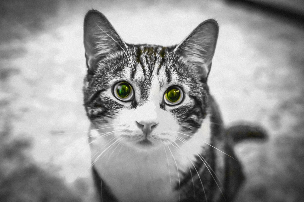 Photograph by Дмитрий Малышев