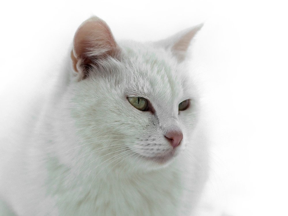 Photograph by Смирнов Алексей