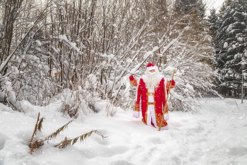 Photograph by Елена Черненко