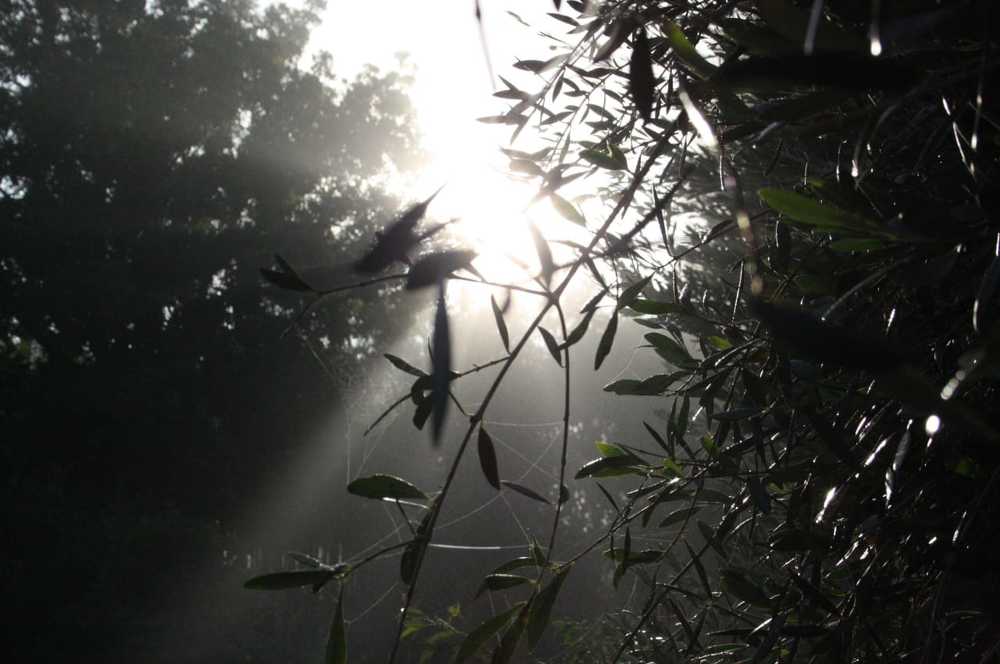 Photograph by Natasha Capazorio