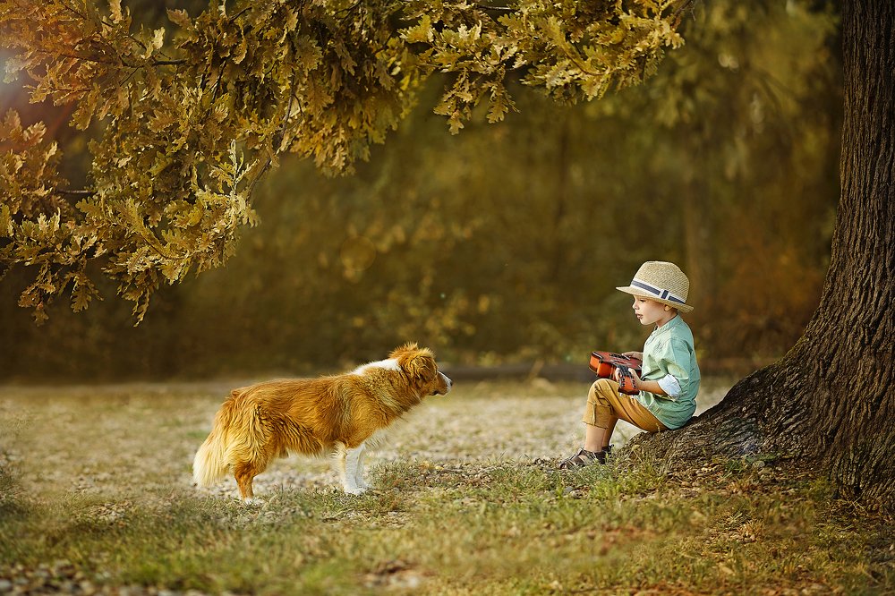 Бременские музыканты