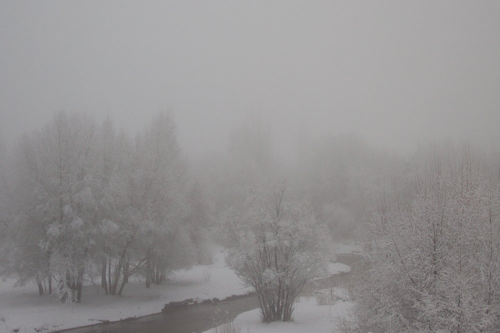 Photograph by Алеся Каракулова