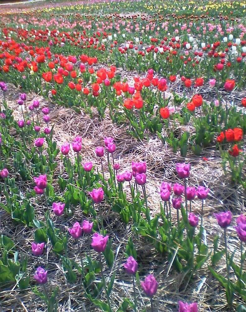 Фотография автора Галина