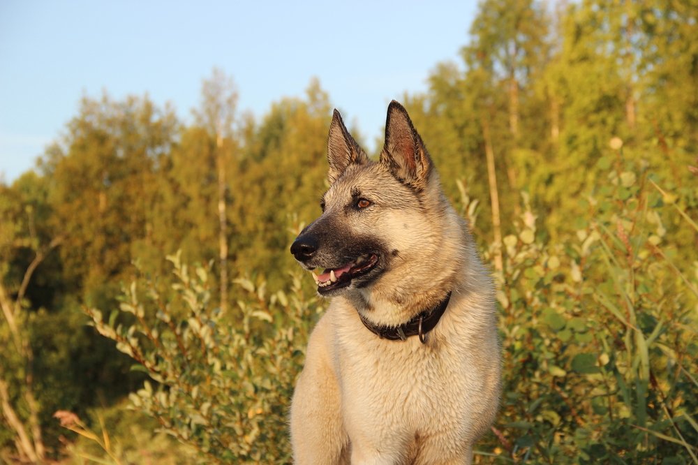 Photograph by Виталий Иванов