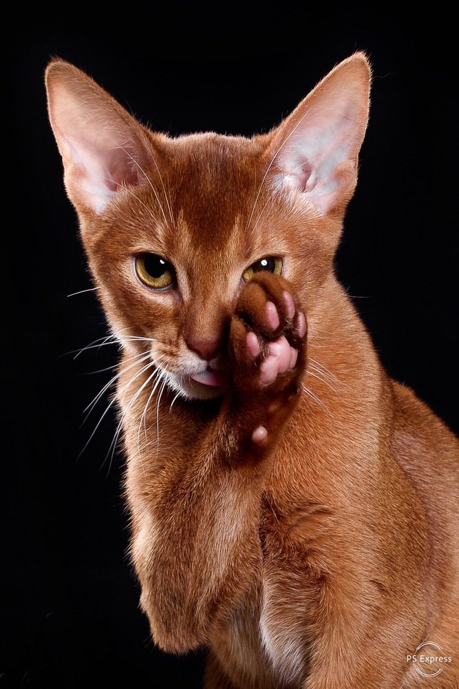 Photograph by Александра