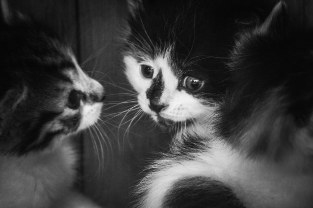 Photograph by Avril Glavin