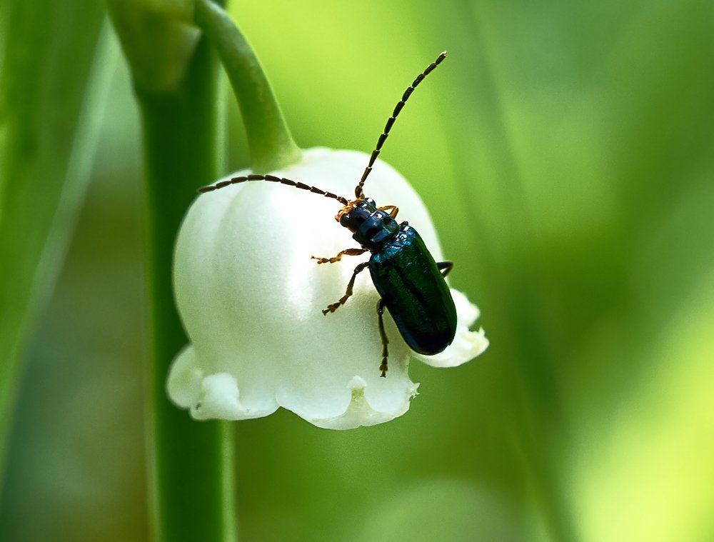 Photograph by Валерий Гончаров