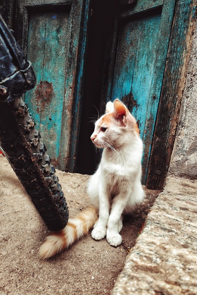 Photograph by sandhya kudli