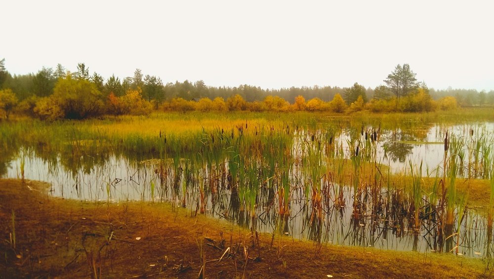 Photograph by Евгения Белоцветова