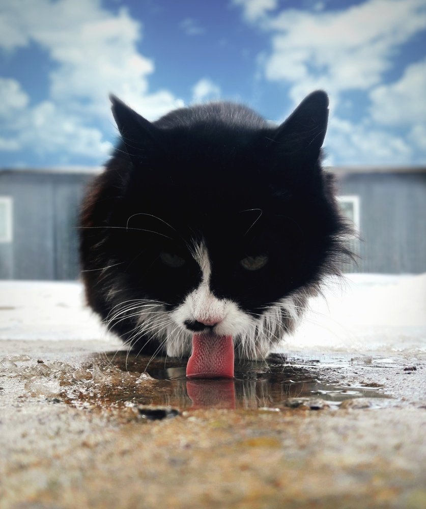 Photograph by Сергей Рязанов